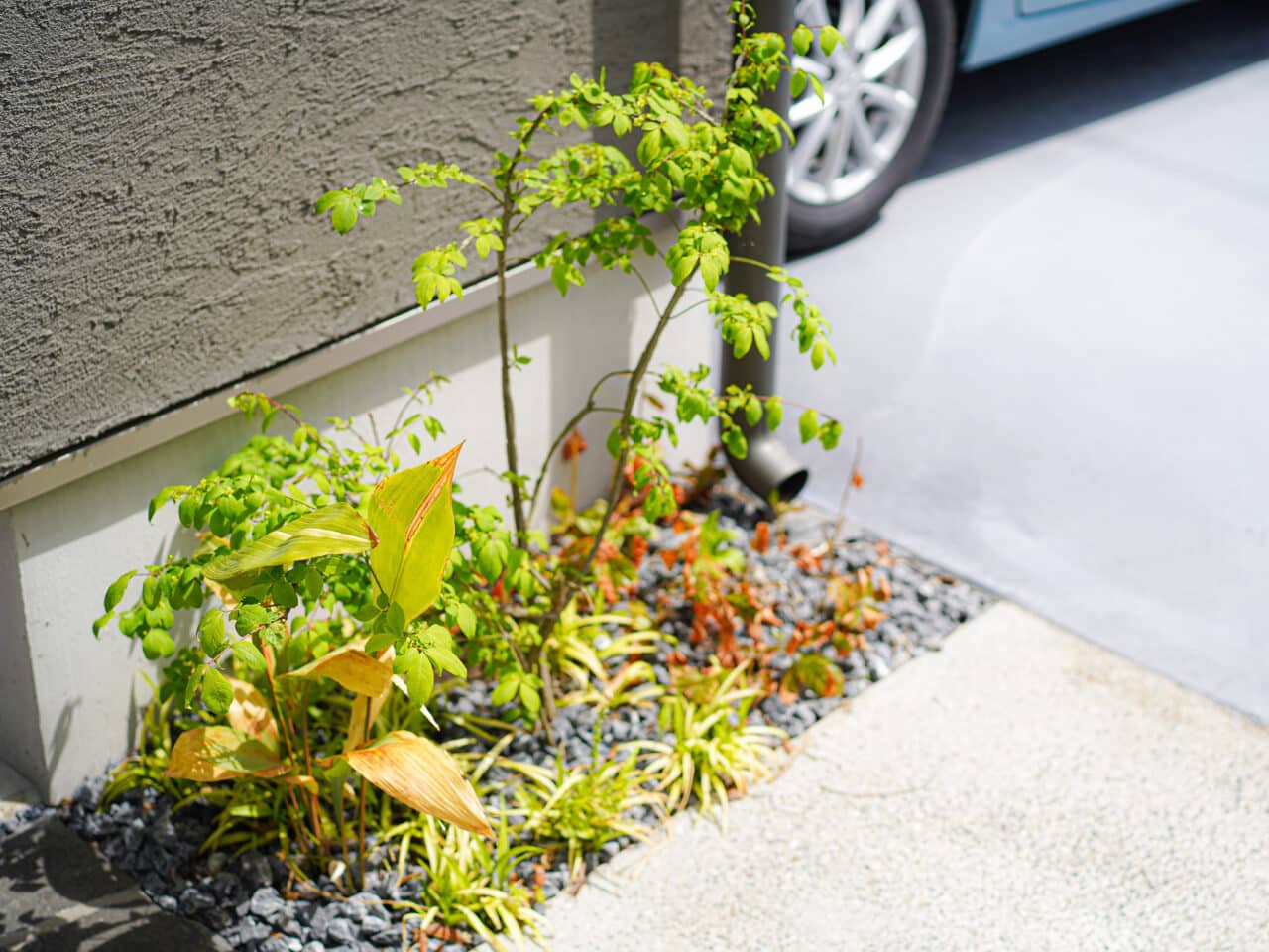 毎日を彩る植栽の寄せ植え