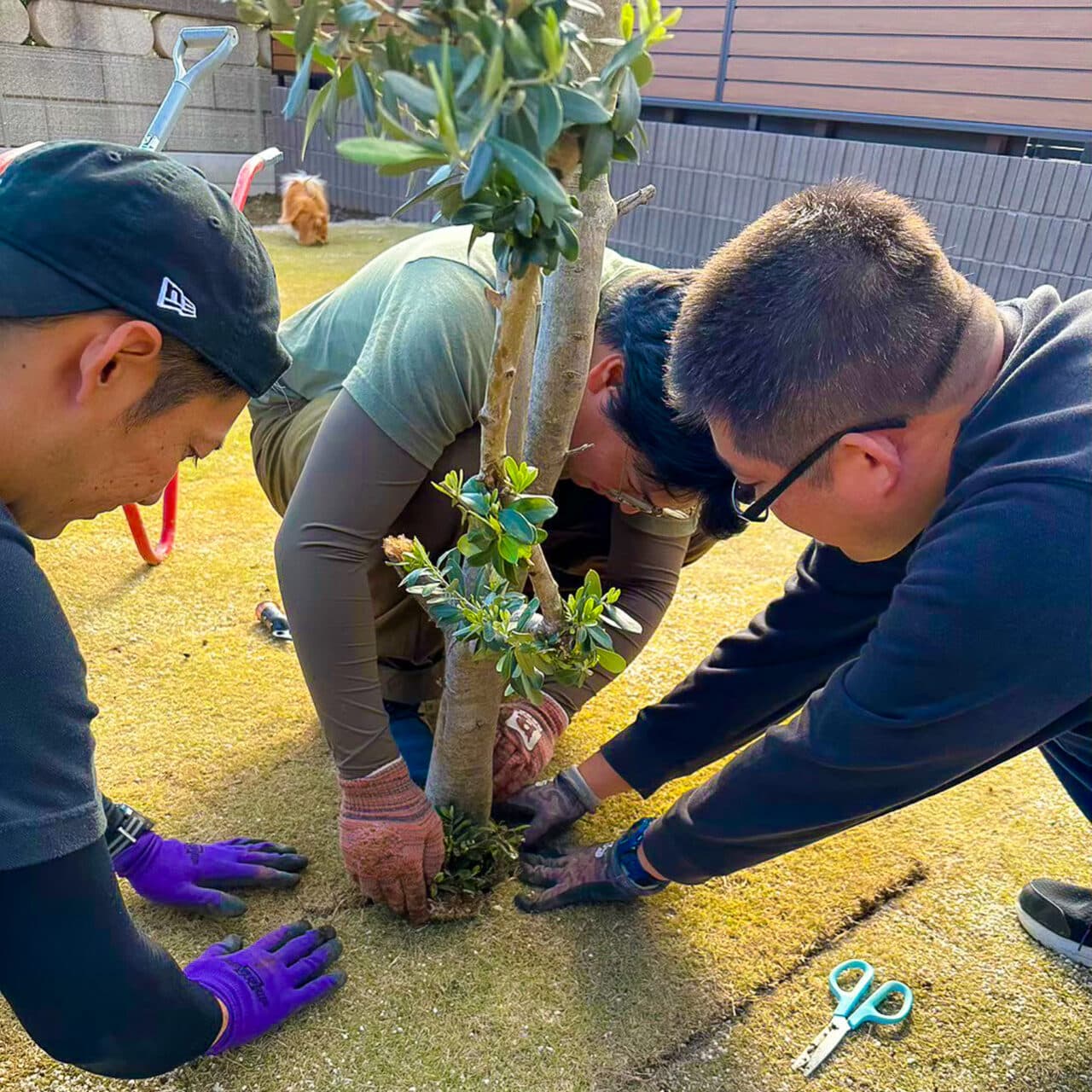 お客様と一緒にシンボルツリーの植樹